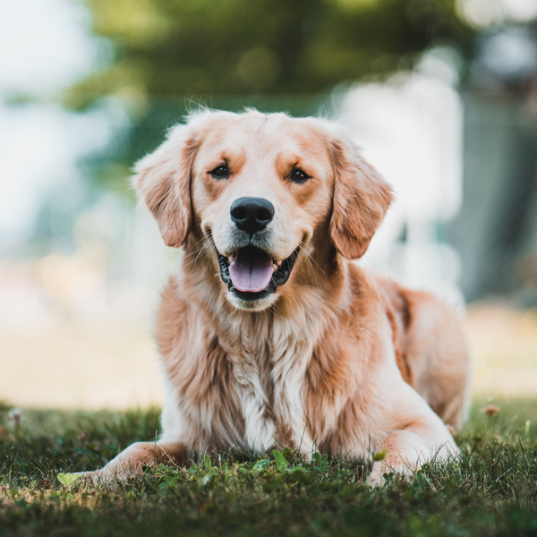 Nu r sidan uppe Nu r sidan uppe