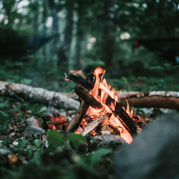 Friluftsintresse Friluftsintresse