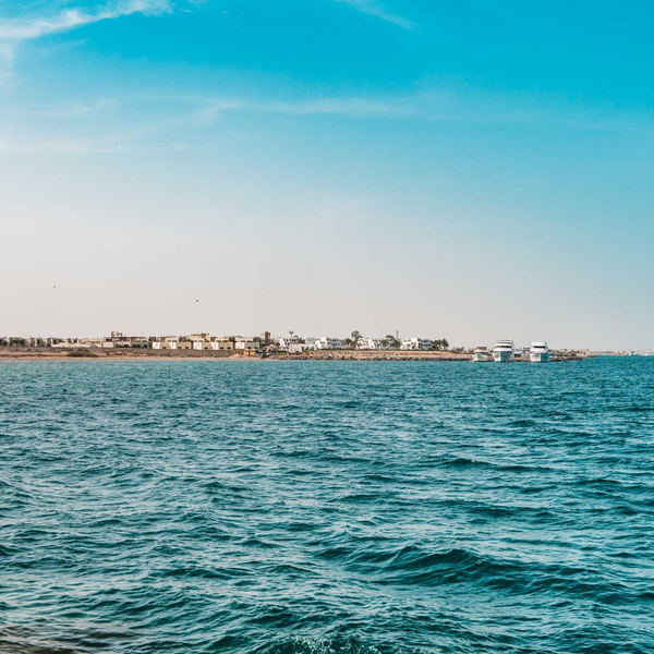 Vivid Seaside Vivid Seaside