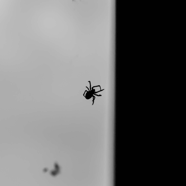 Imse Vimse Imse Vimse